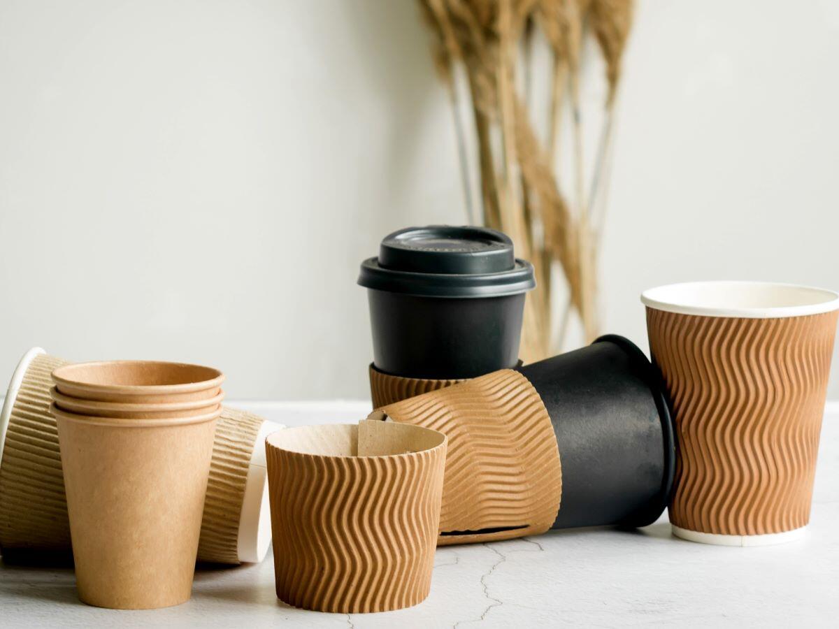 Differences between Single Wall and Double Wall Paper Cups