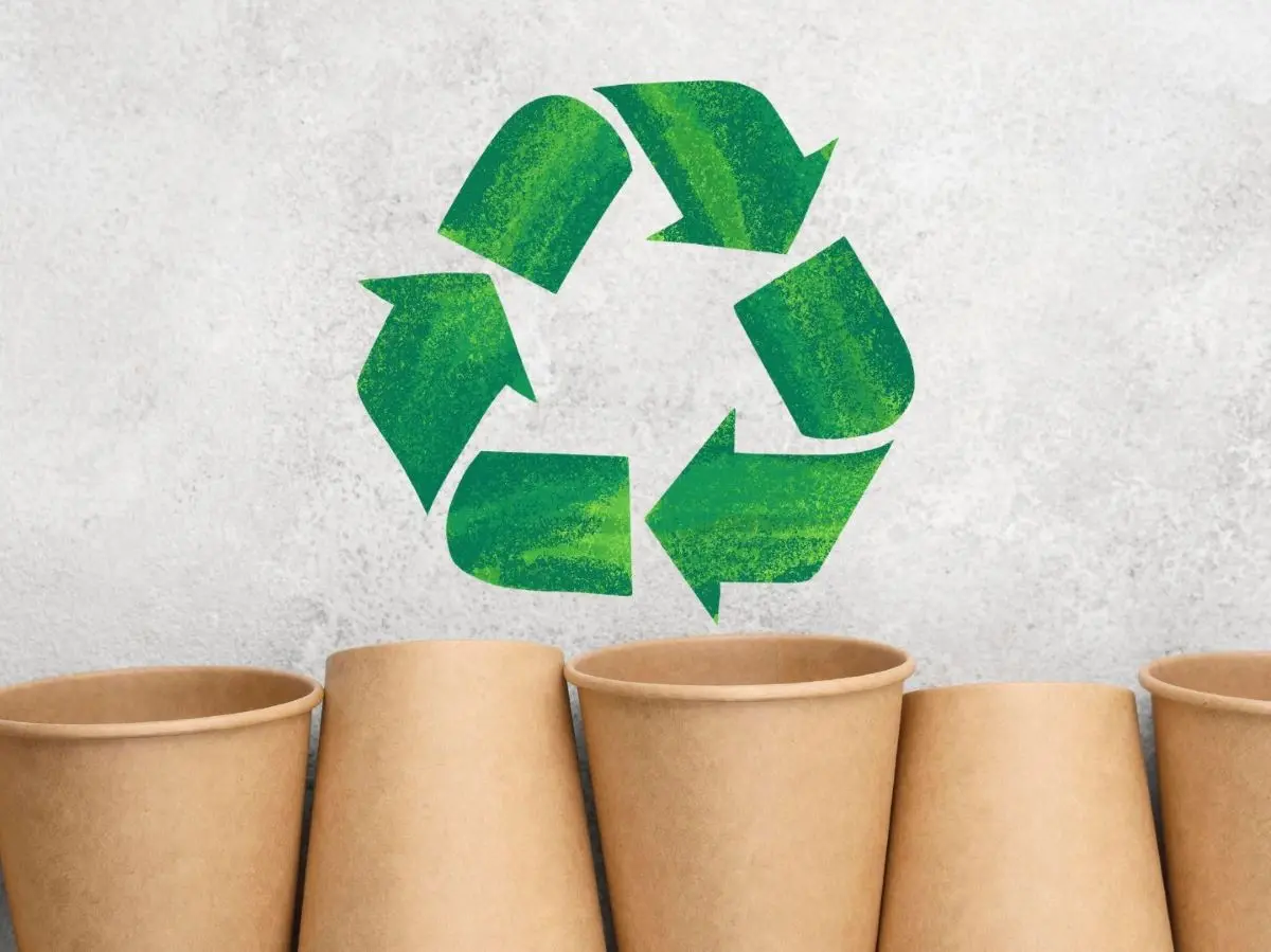 Paper Food Container Recycling Effective Tips