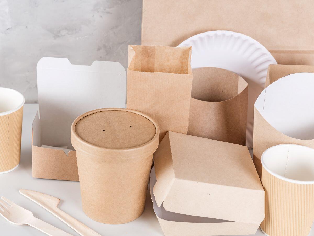Paper Packaging Industry Analysis: Impact of Single-Use Plastic Ban
