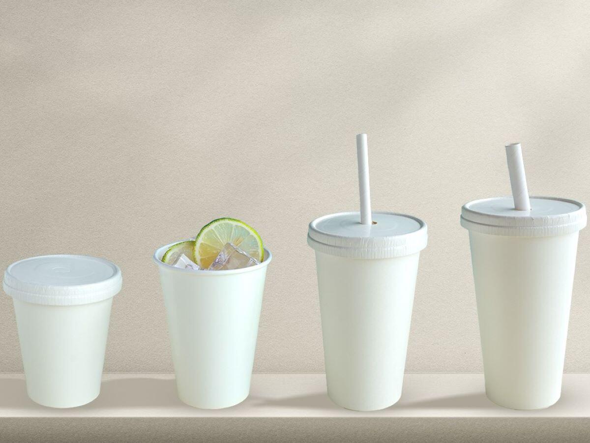 Sustainable Alternatives in the Plastic Reduction Era: Eco Paper Lids