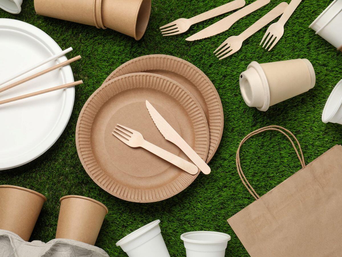 Guide to Disposable Paper Food Containers: Benefits and Applications