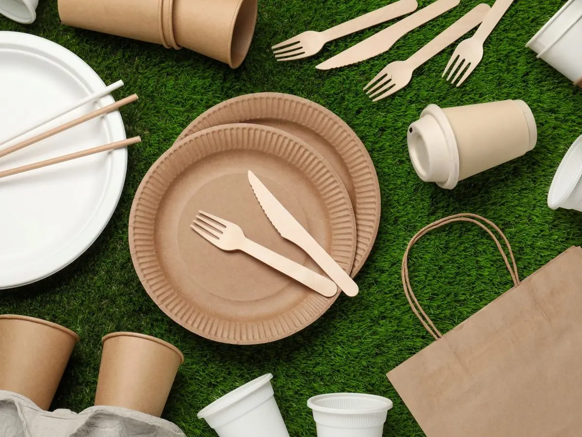 eco friendly paper food containers