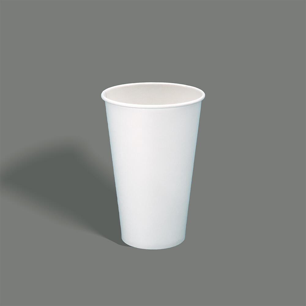 12oz(80) Compostable Cold Drink Cup JY-360cc(80)