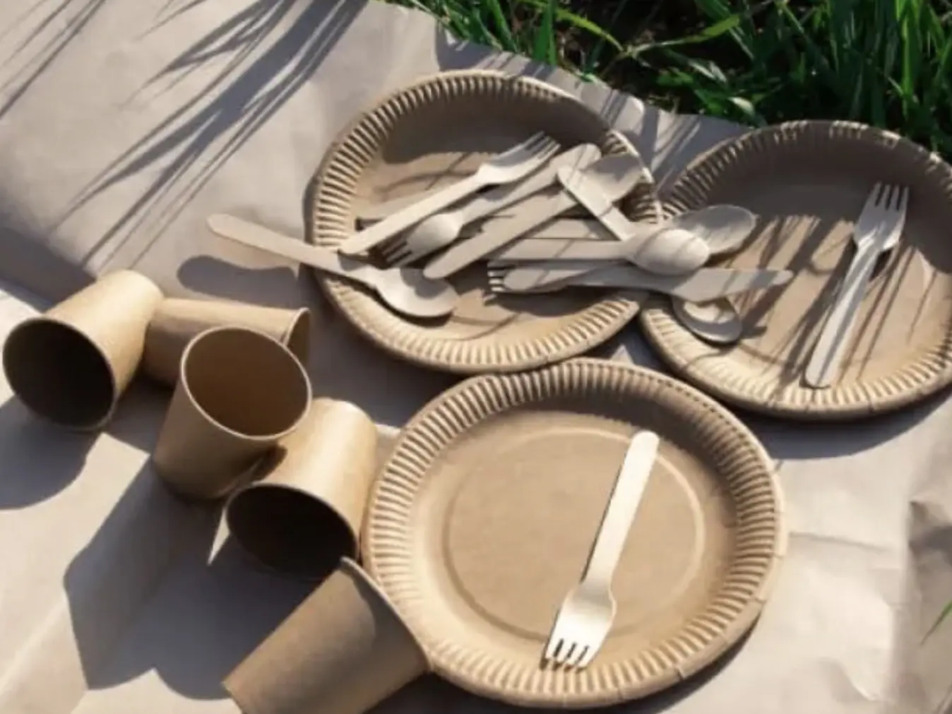 What is the PLA material? What is the difference with other materials such as PP and PE?