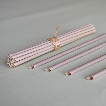 Sugarcane Straws